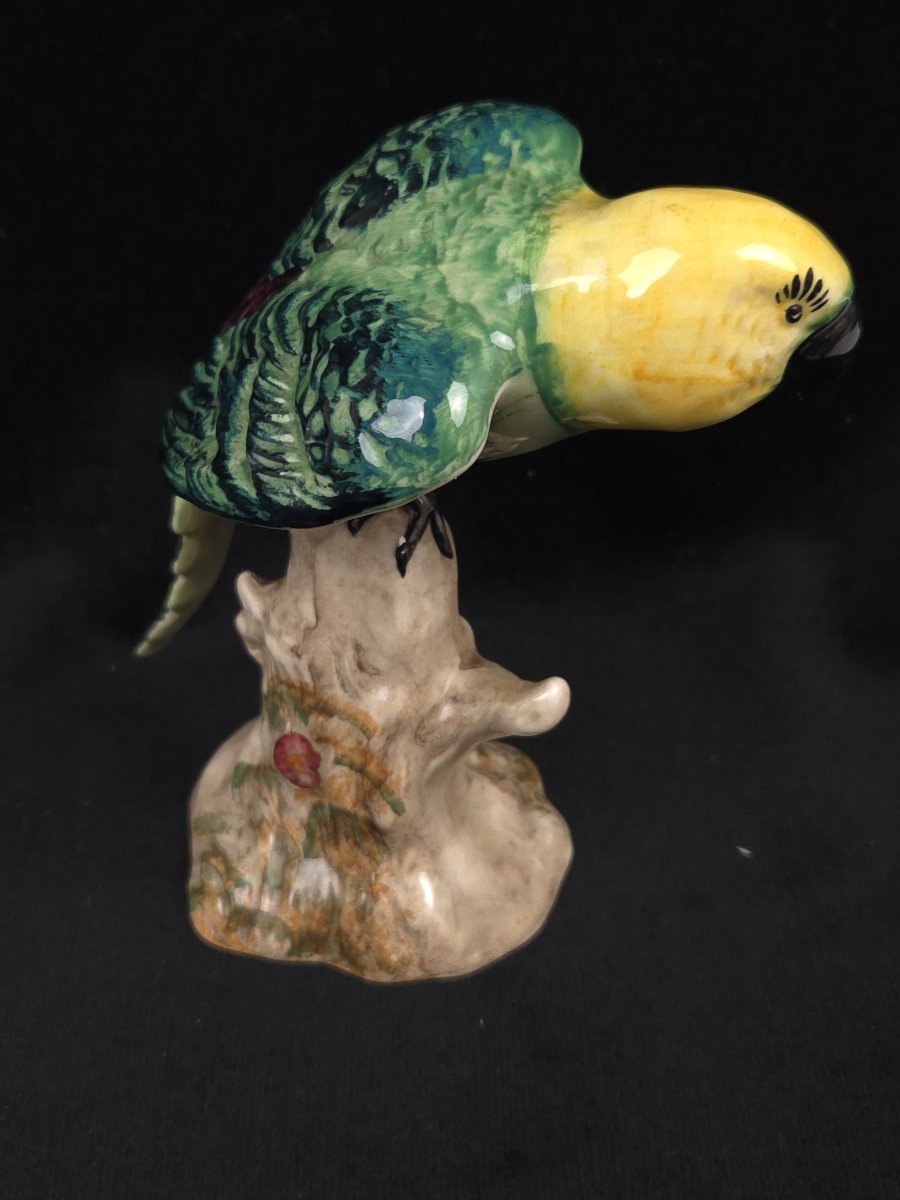 Figurine en céramique anglaise - Perroquet - Shelley England-photo-3