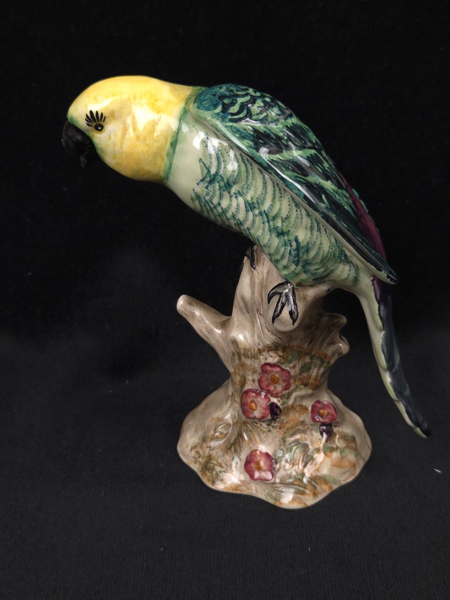 Figurine en céramique anglaise - Perroquet - Shelley England-photo-1