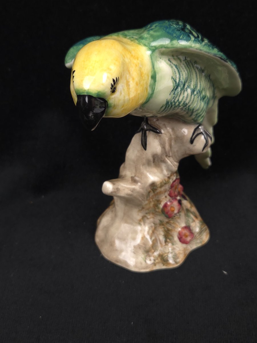 Figurine en céramique anglaise - Perroquet - Shelley England-photo-2