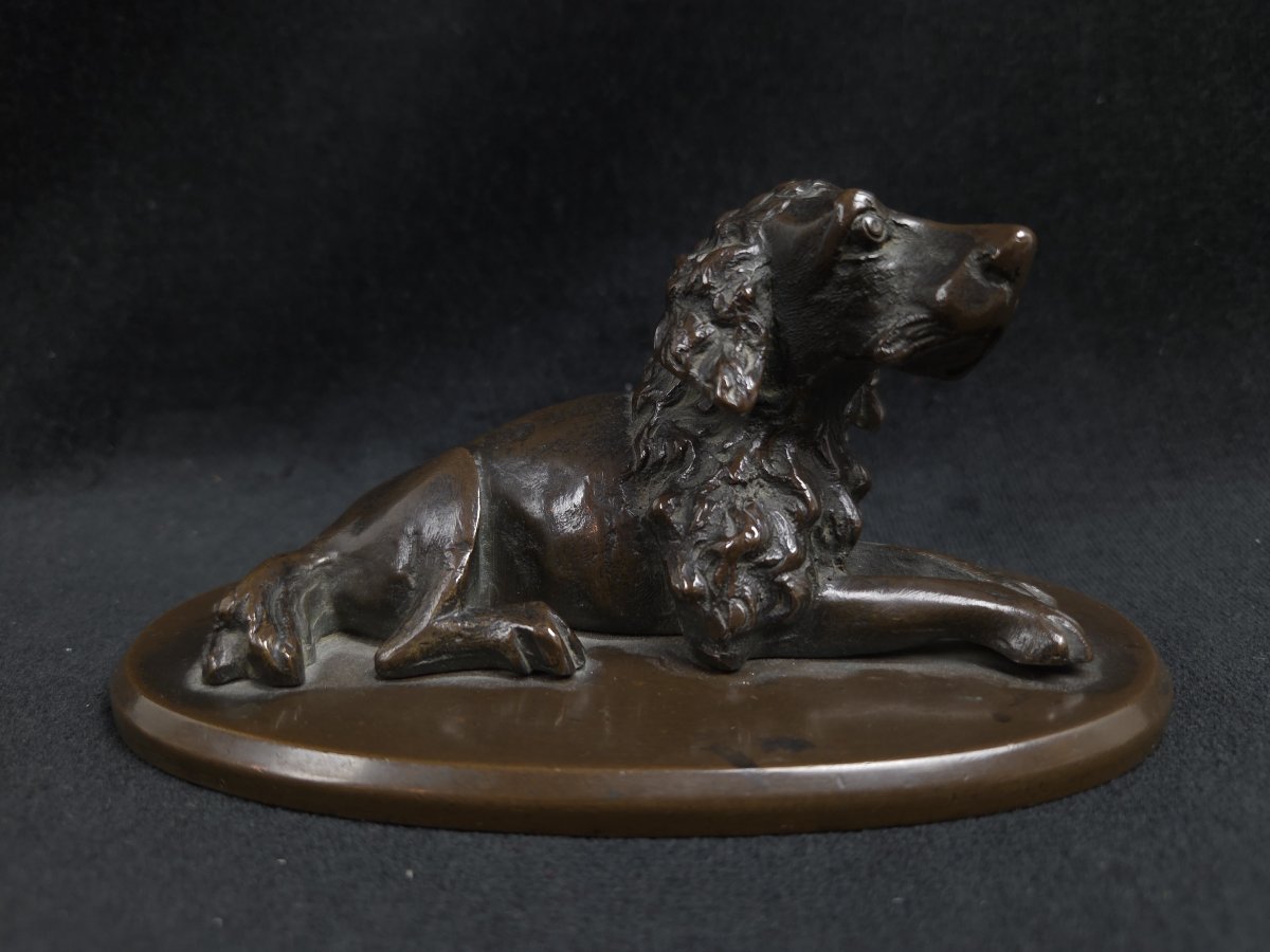 Bronze animalier - Chien de chasse au repos (XXe siècle)-photo-3