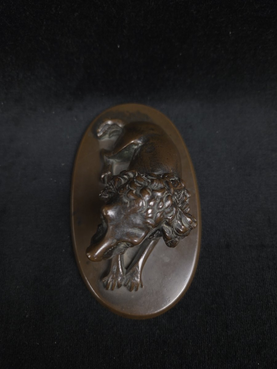Bronze animalier - Chien de chasse au repos (XXe siècle)-photo-2