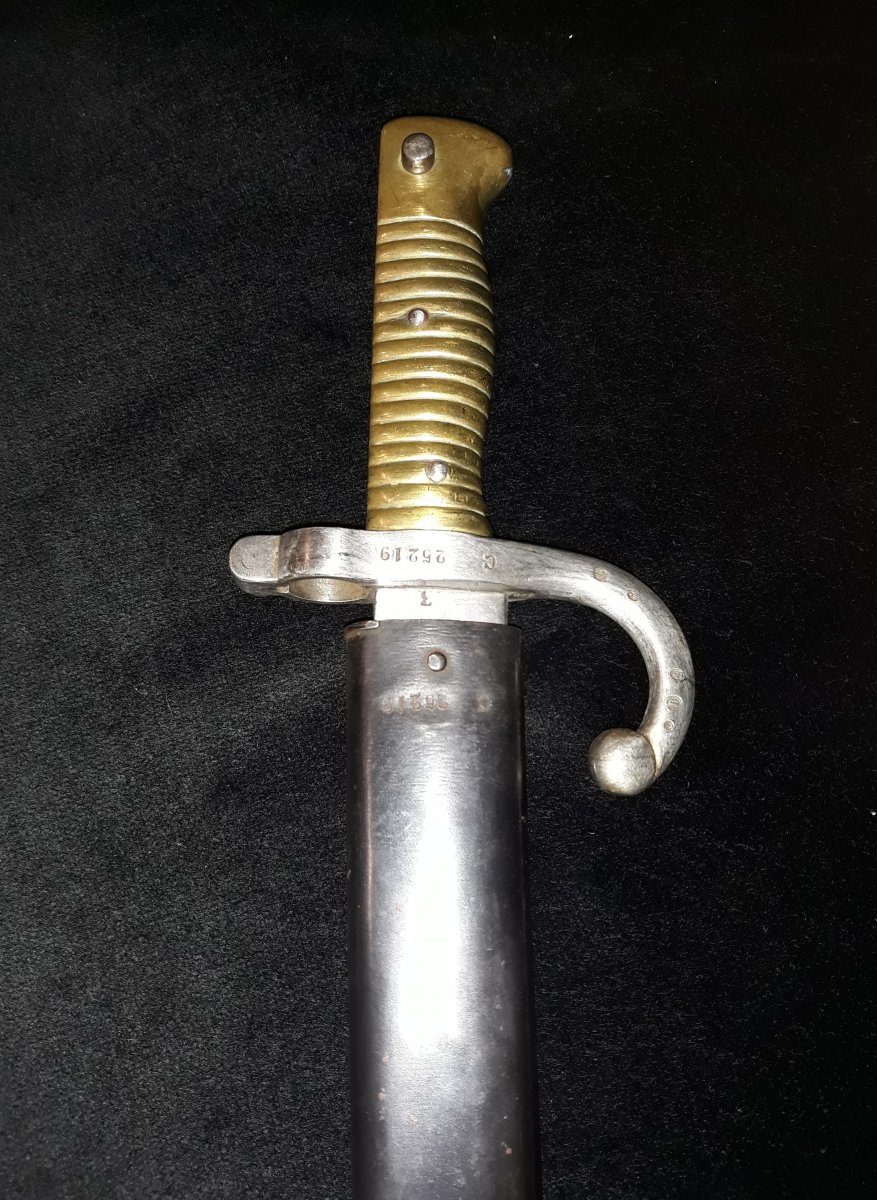 Bayonet Saber - XIXth Century - Imperial Of St Etienne-photo-2