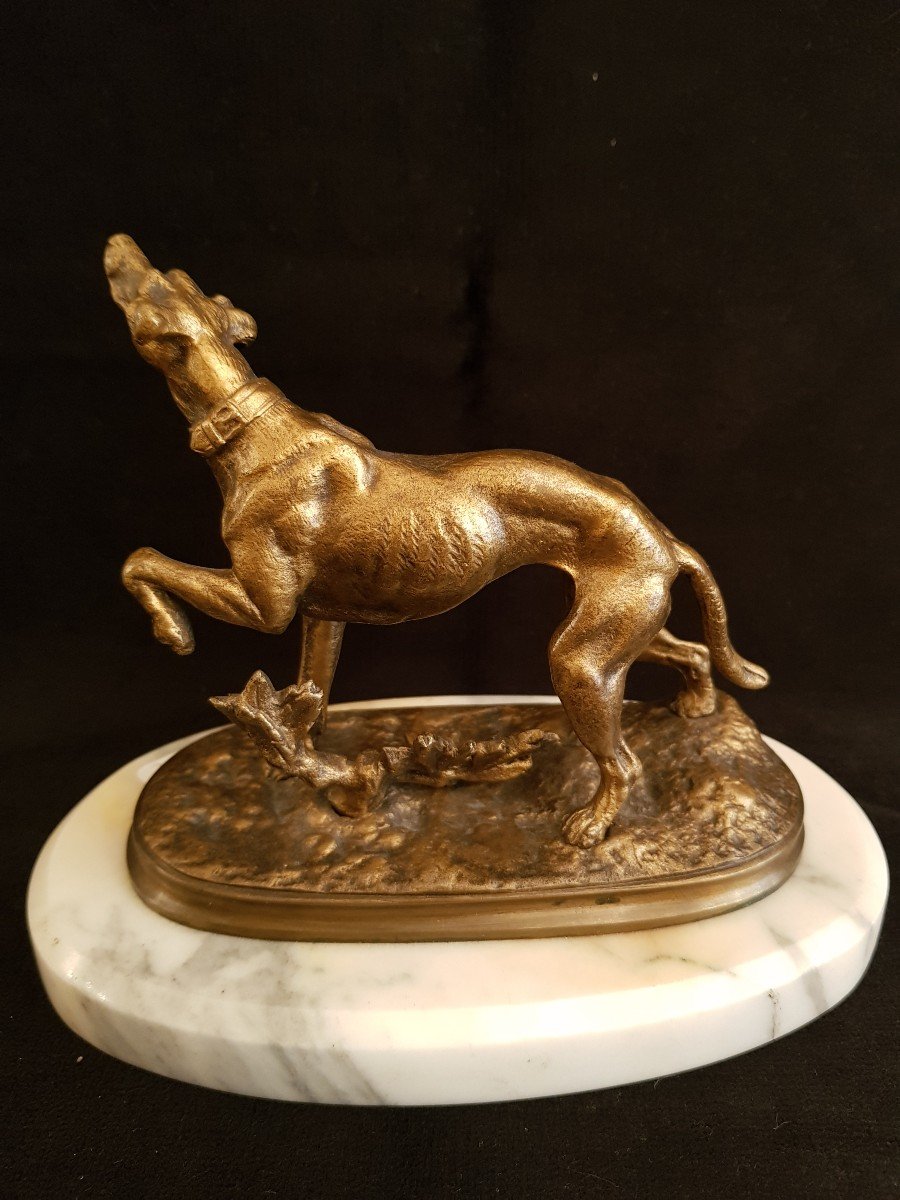 Greyhound In Bronze On Its White Marble Base Signed Lecourtier-photo-3