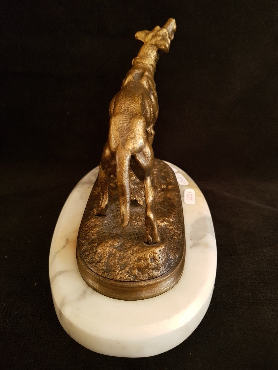 Greyhound In Bronze On Its White Marble Base Signed Lecourtier-photo-4