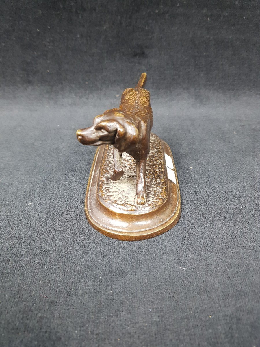 Bronze Small Hunting Dog-photo-2