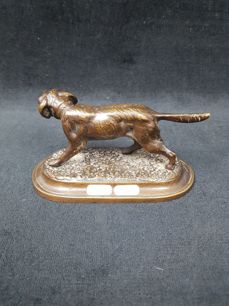 Bronze Small Hunting Dog-photo-3