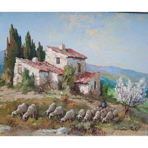 Oil On Hardboard - Sheep In Provence - By Georges Castel (20th Century)