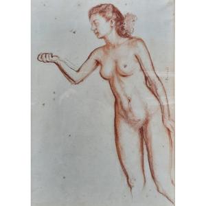 Jean Bouchaud (1891-1977) - Drawing La Sanguine - Nude Woman