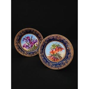 Paire d'assiettes de Marly en porcelaine de Sèvres - Décor botanique (XIXe siècle)