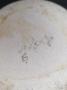 1824045-alb-6aad56c07fe64.jpg