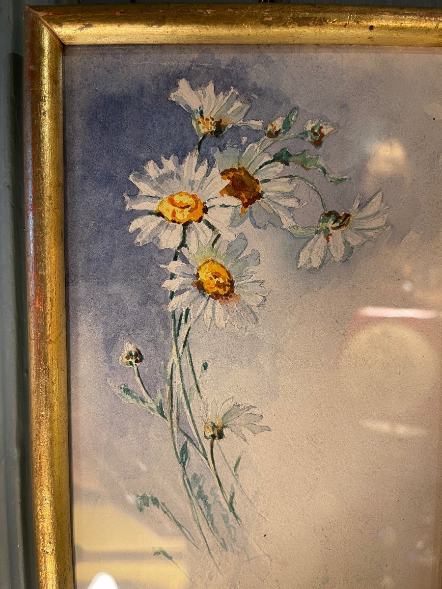 Watercolor, The Daisies-photo-2
