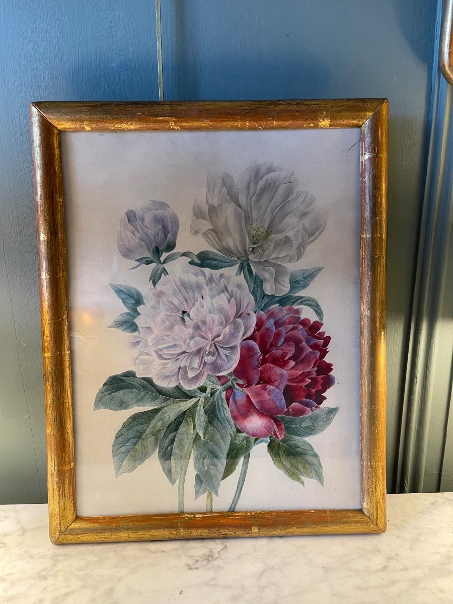 Pivoines Sur Papier V&eacute;lin, Aquarelle XIX&egrave;me-photo-5
