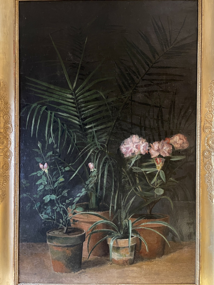 Important 19th Century Flower Painting, Rhododendrons, Old Roses And Dypsis-photo-2