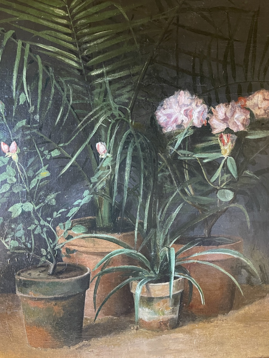 Important 19th Century Flower Painting, Rhododendrons, Old Roses And Dypsis-photo-3