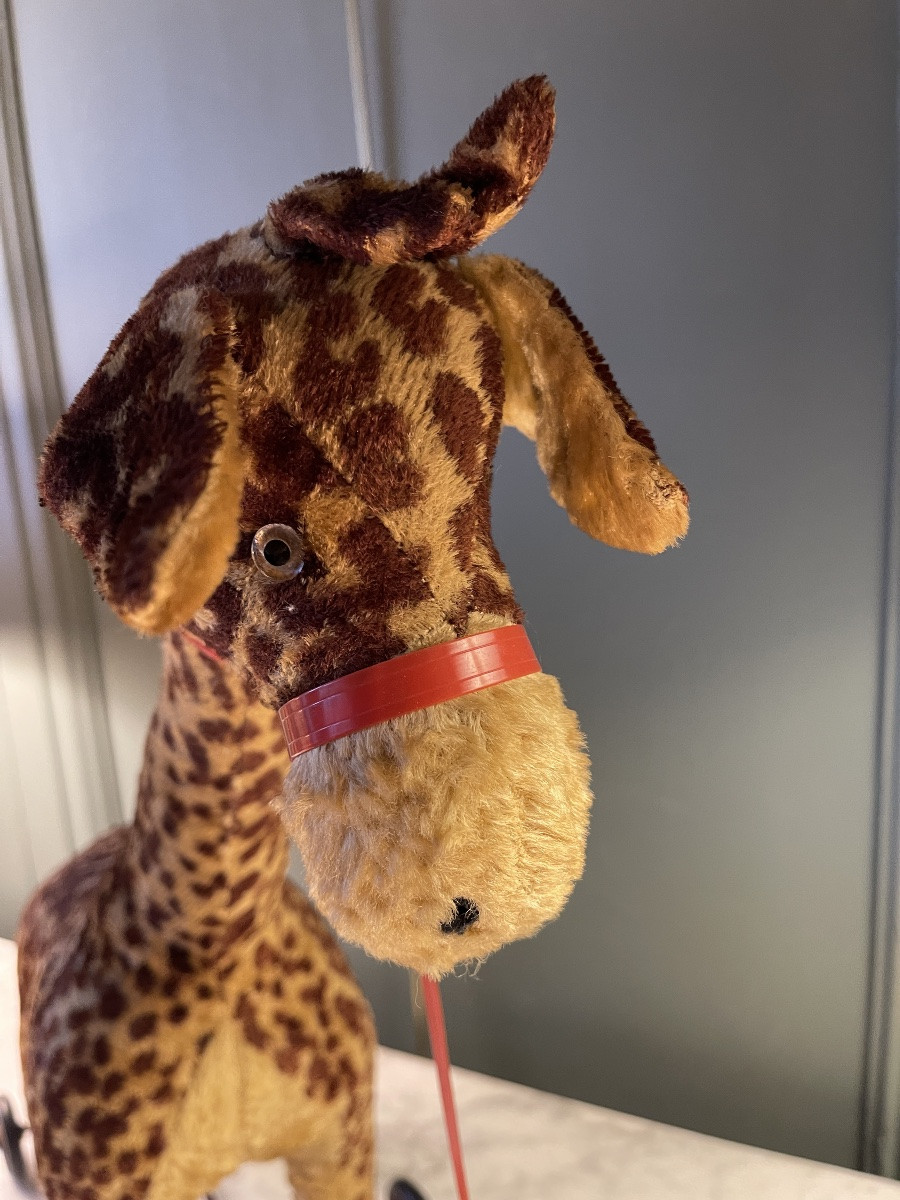 Giraffe On Wheels-photo-1