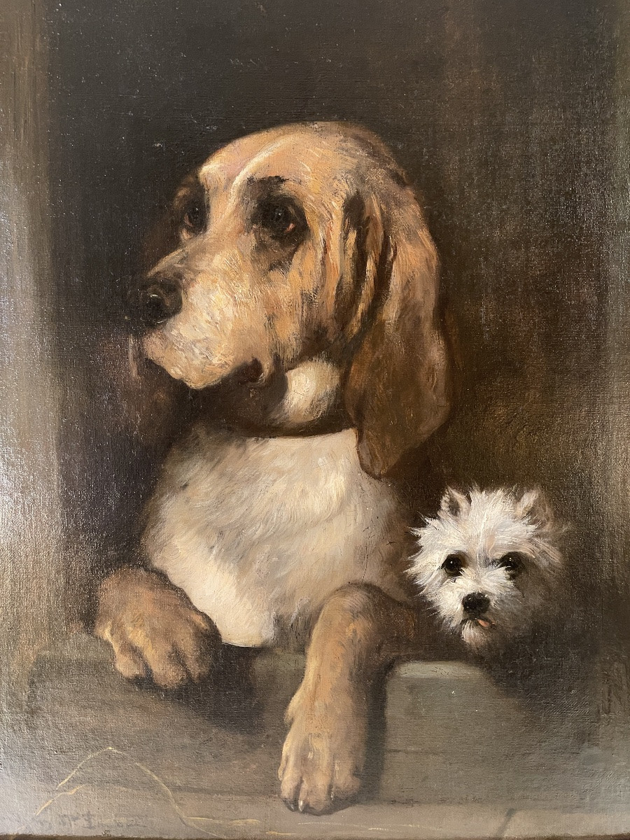Portrait de chiens de Jules Chardigny XIXème-photo-2