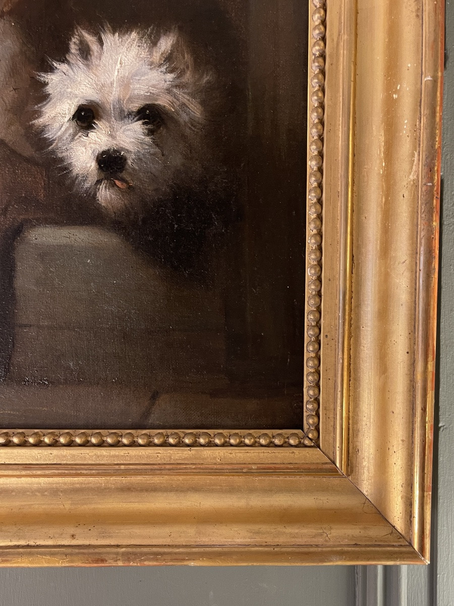 Portrait de chiens de Jules Chardigny XIXème-photo-1