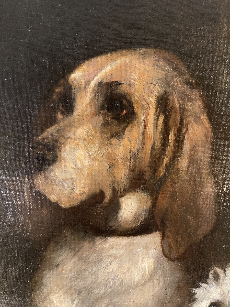 Portrait de chiens de Jules Chardigny XIXème-photo-4