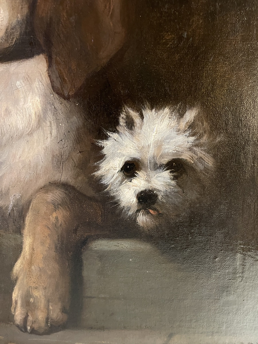 Portrait de chiens de Jules Chardigny XIXème-photo-5