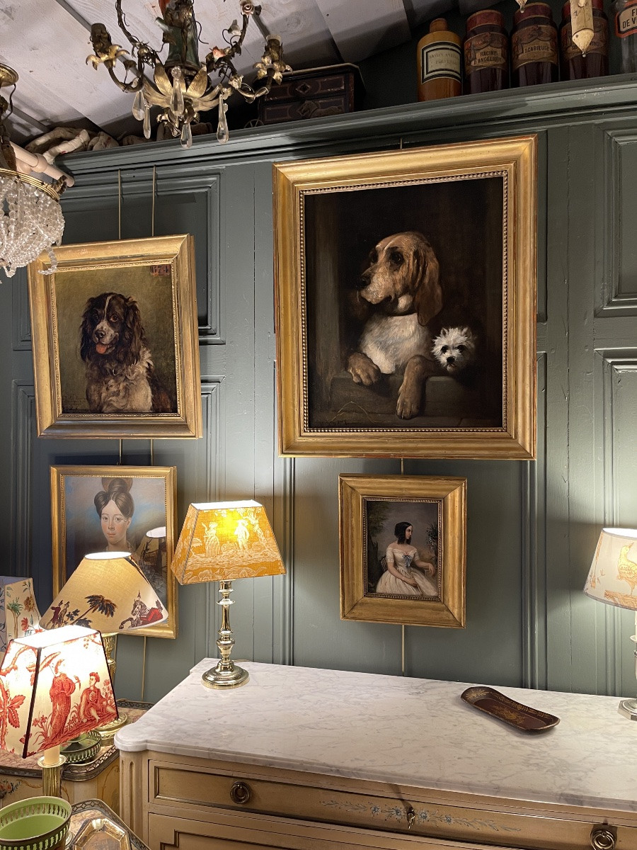 Portrait de chiens de Jules Chardigny XIXème-photo-8