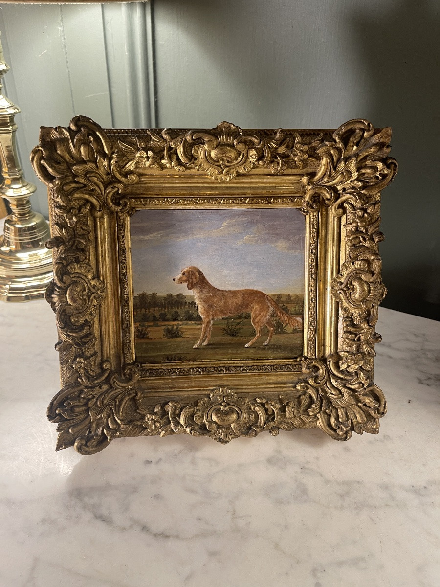 Small Portrait Of A Dog, 19th Century-photo-3