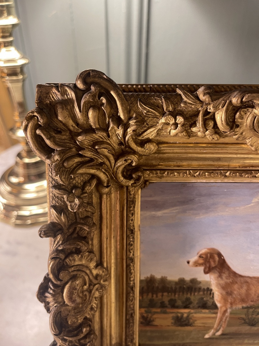 Small Portrait Of A Dog, 19th Century-photo-4