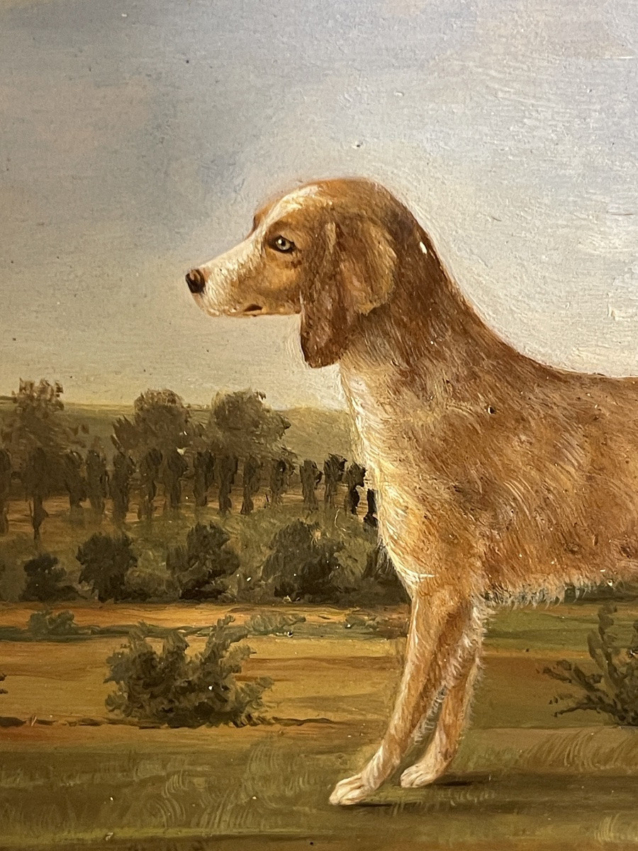 Small Portrait Of A Dog, 19th Century-photo-4