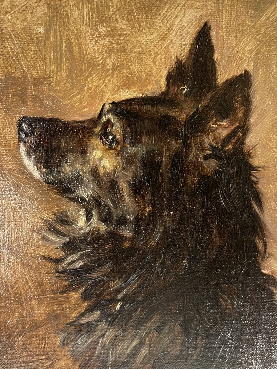 Portrait de chien daté 1895-photo-3