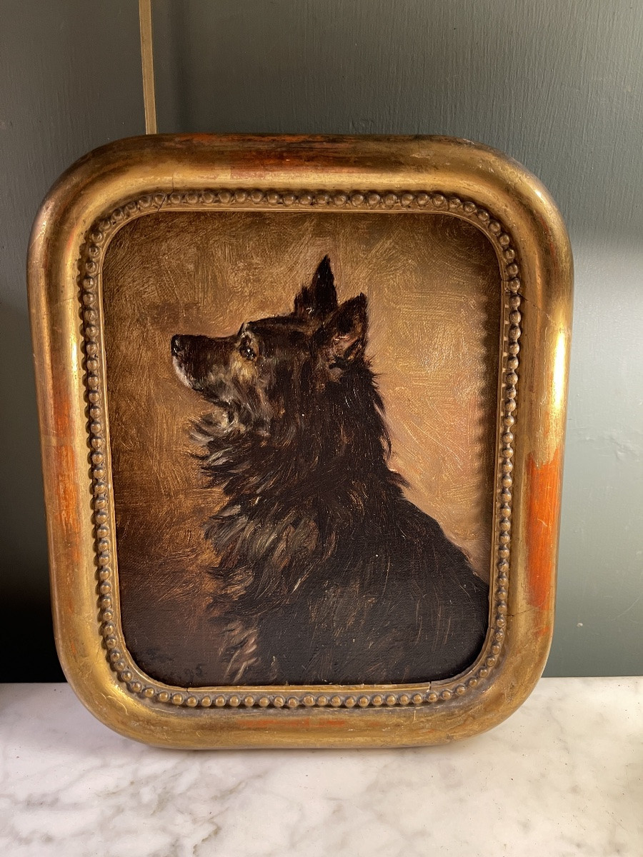 Portrait de chien daté 1895-photo-1