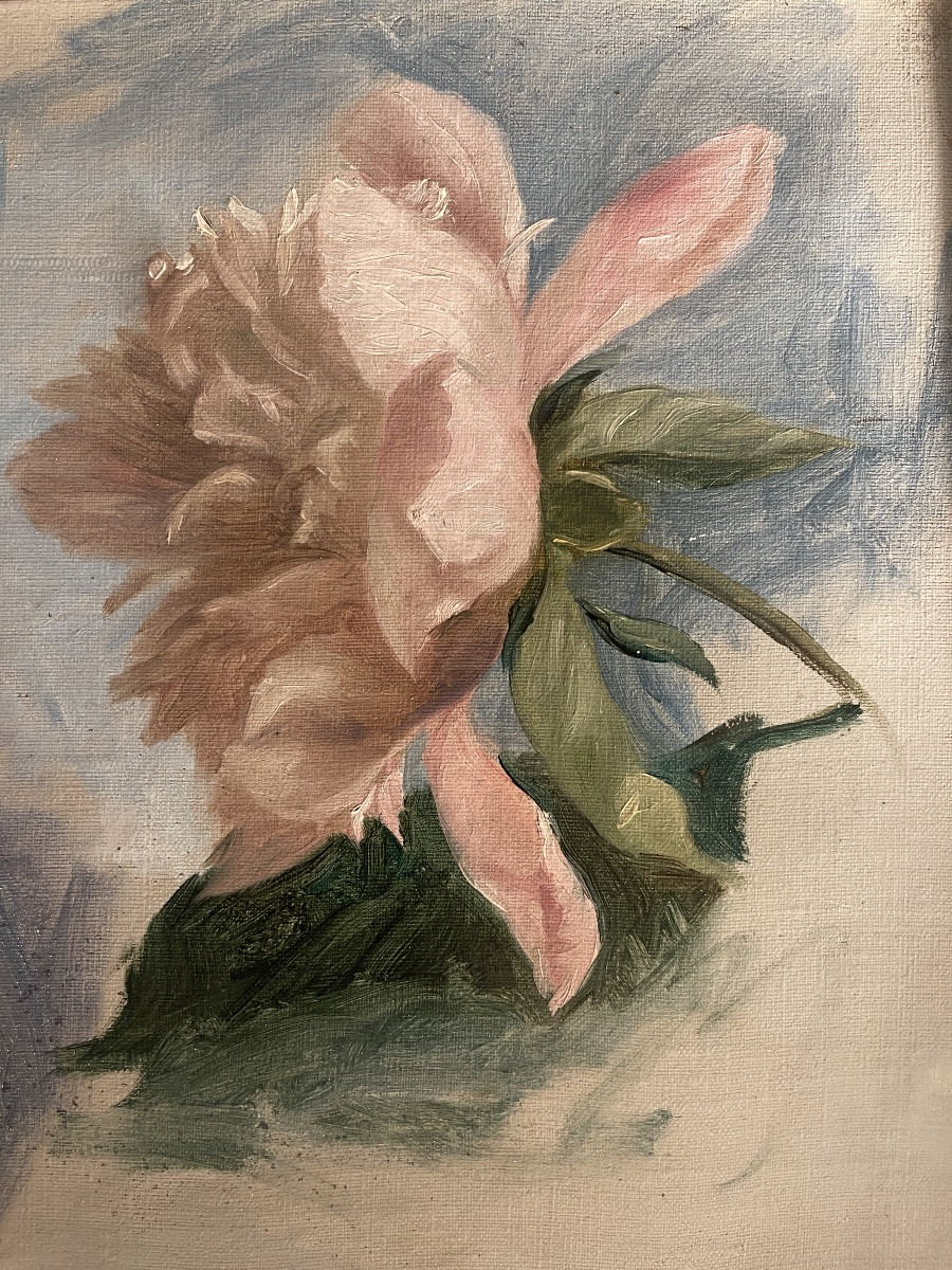 Tableau de fleurs, pivoines XIXème-photo-4