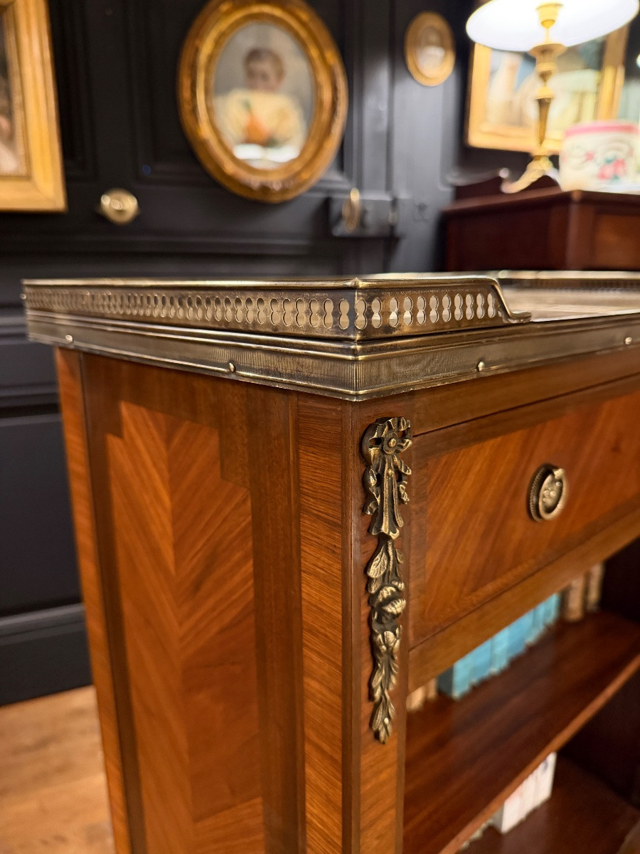 Bibus, bibliothèque en marqueterie-photo-3