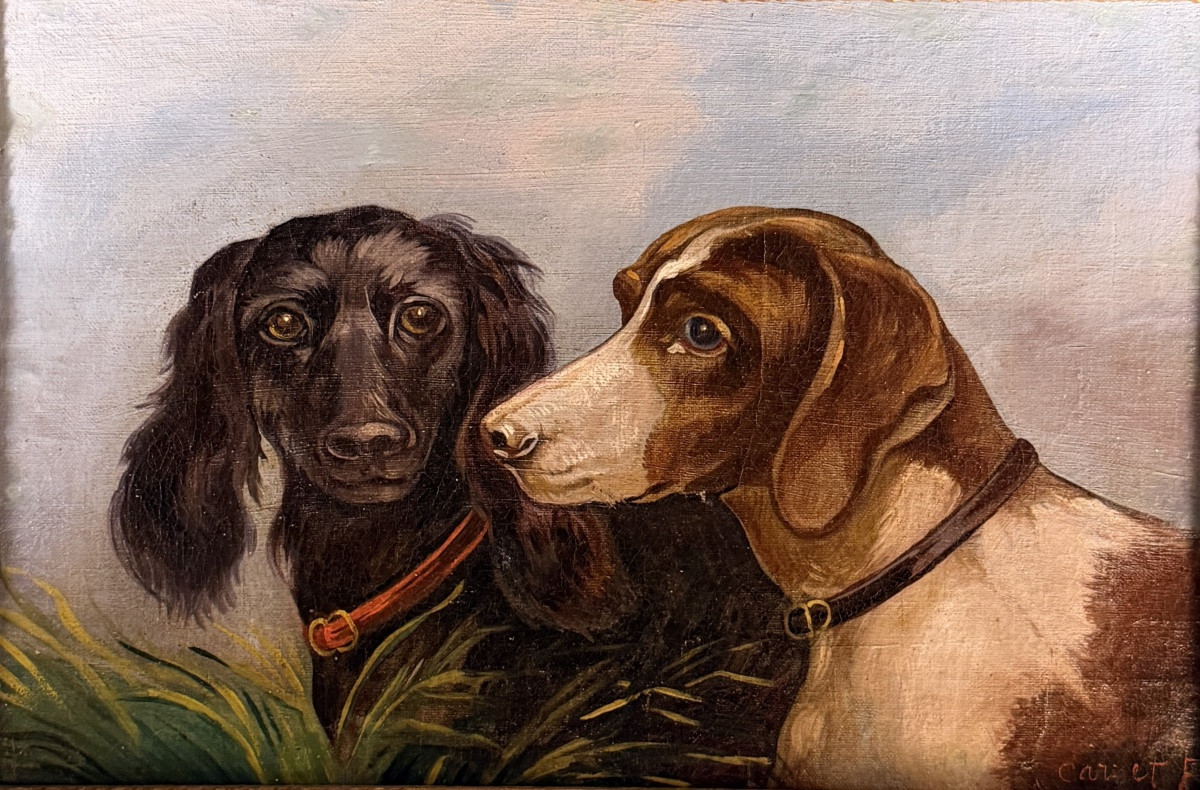 Portrait de chiens XIXème-photo-2