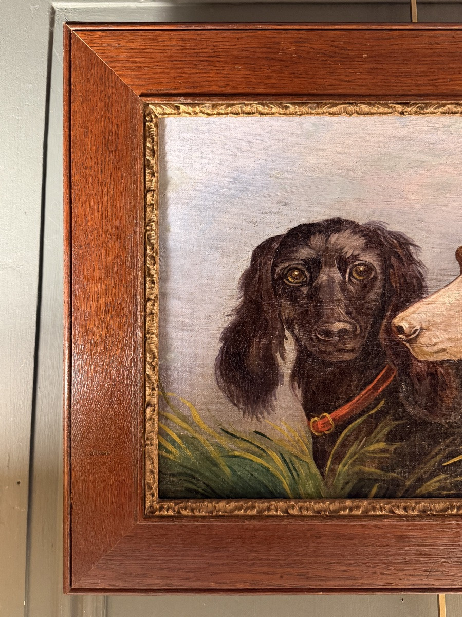 Portrait de chiens XIXème-photo-3