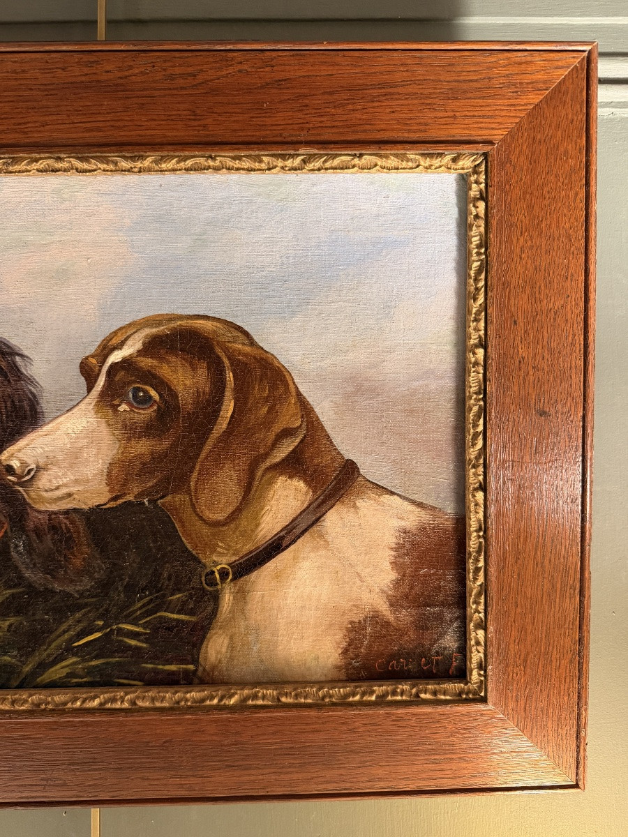 Portrait de chiens XIXème-photo-4