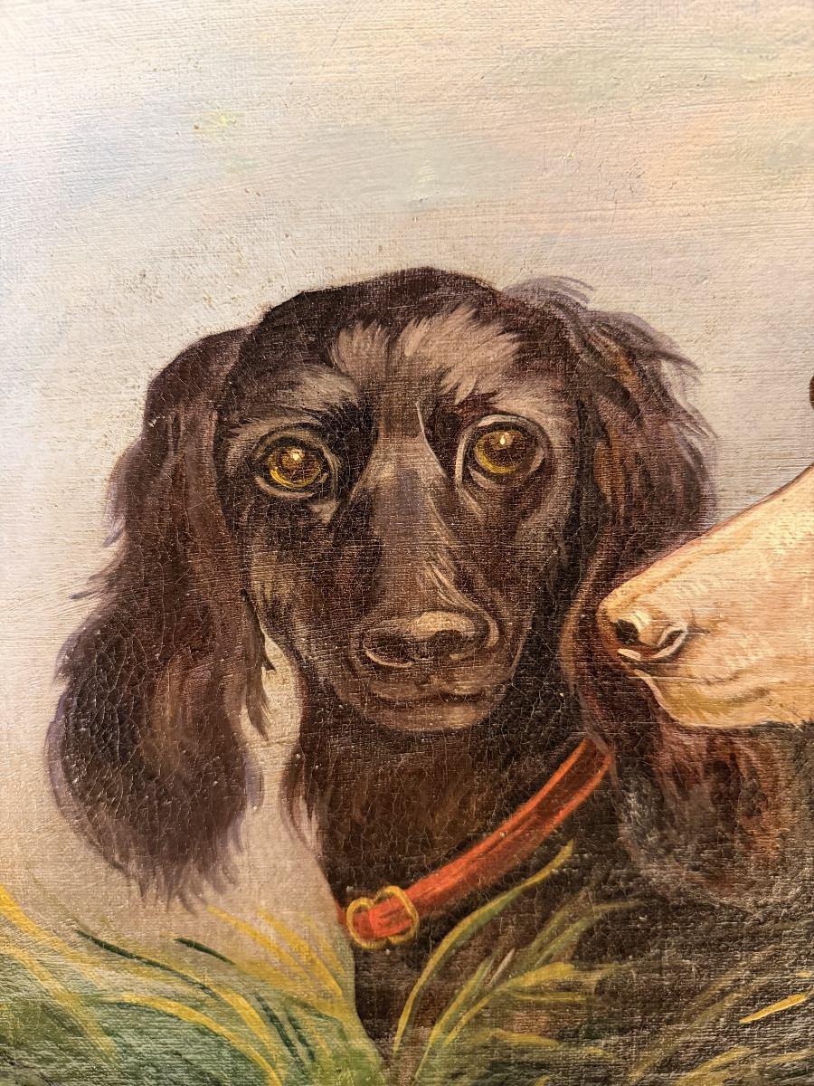 Portrait de chiens XIXème-photo-1