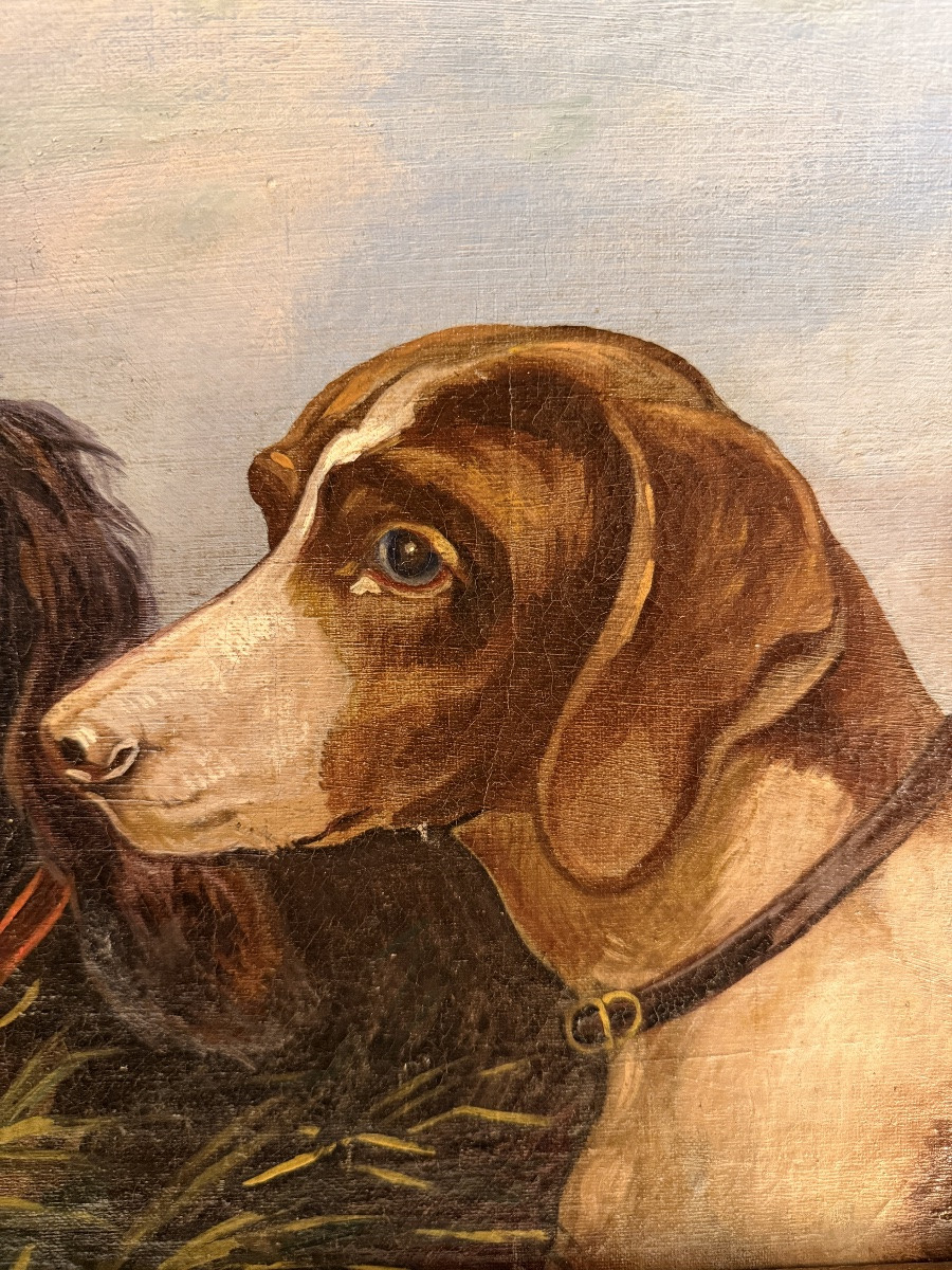 Portrait de chiens XIXème-photo-2