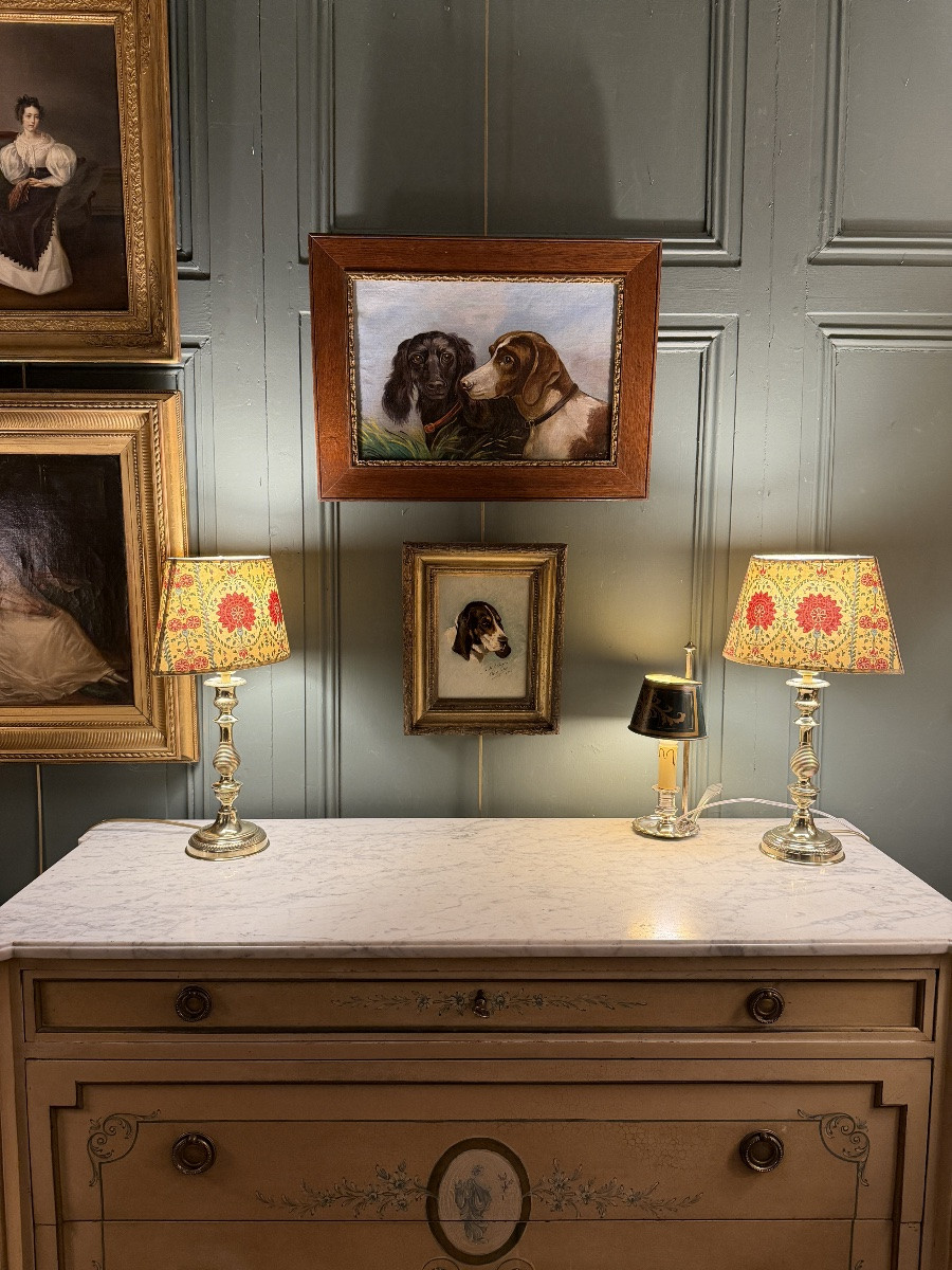 Portrait de chiens XIXème-photo-6