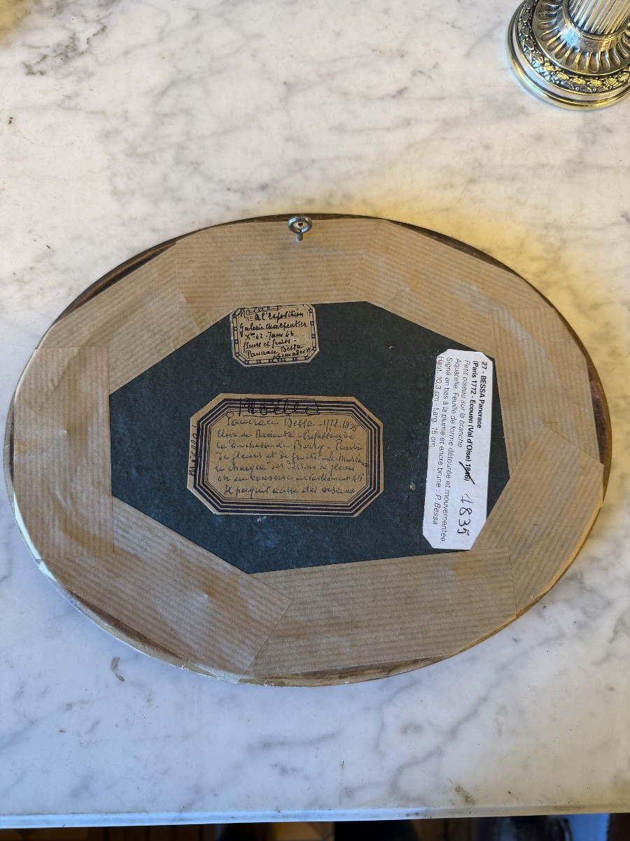 Roitelet de Madère de Pancrace Bessa, Aquarelle d'oiseau XIXème-photo-5