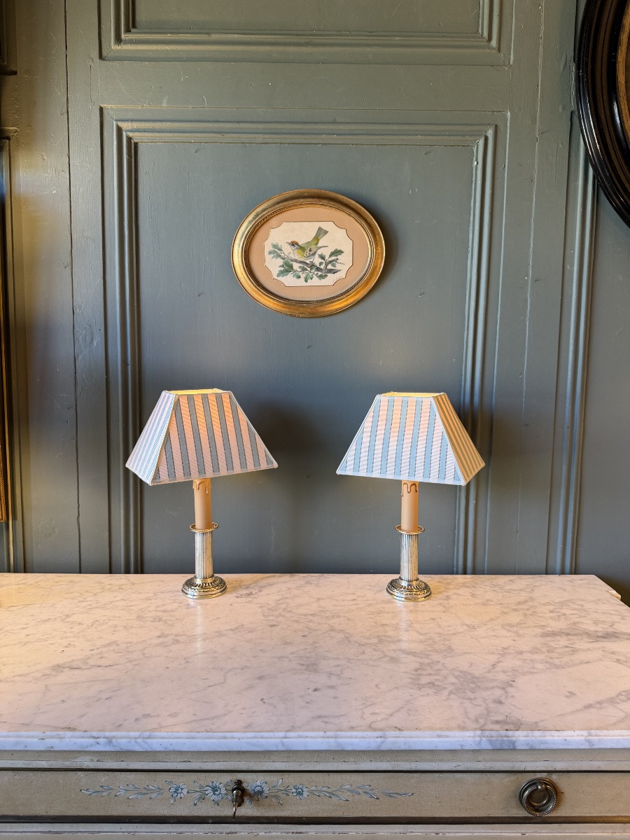 Roitelet de Madère de Pancrace Bessa, Aquarelle d'oiseau XIXème-photo-6