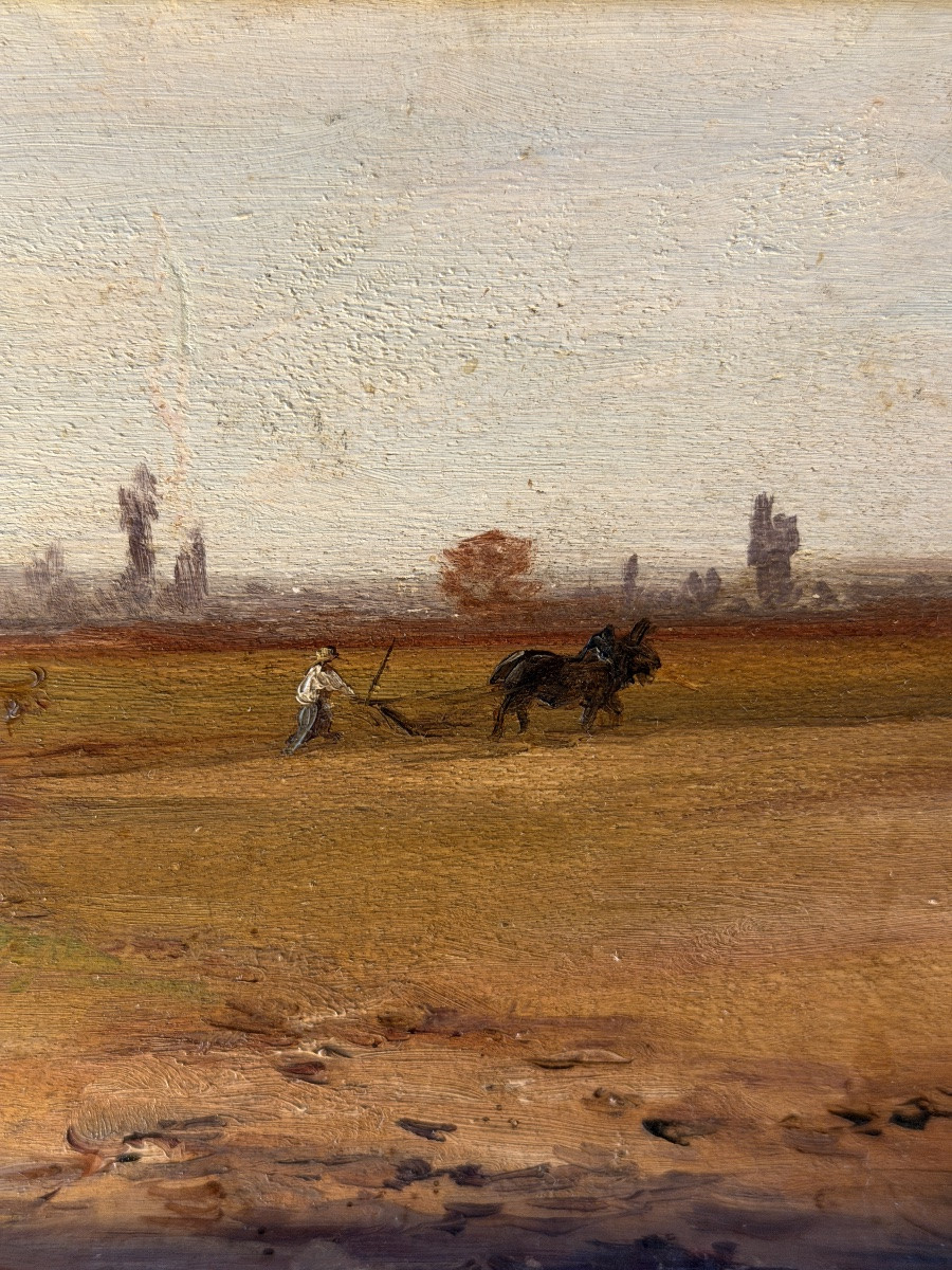 Ploughing, Animated Landscape 19th Century-photo-1