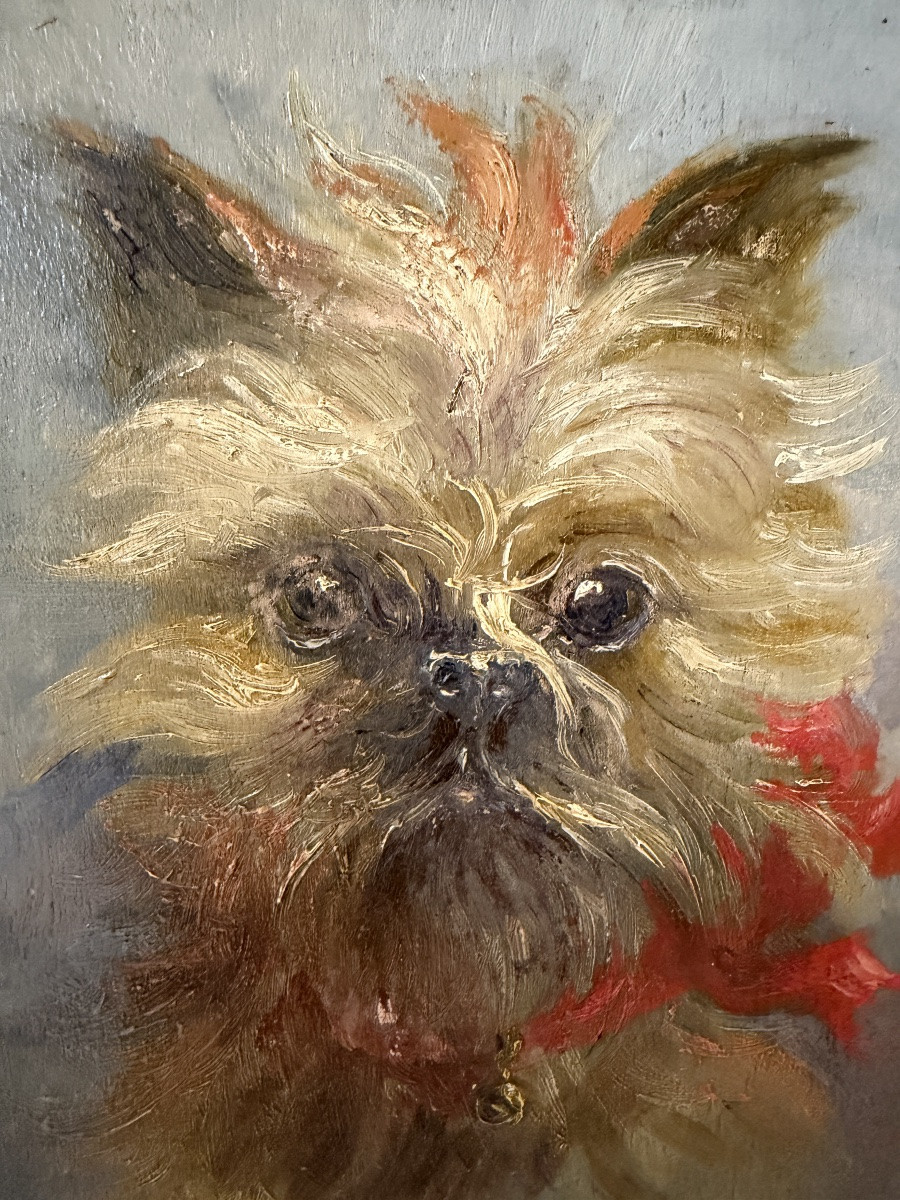 Portrait Of A Dog By Amable Bouillier-photo-3