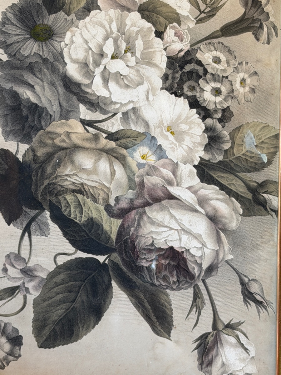 Botanical Flowers, Lithograph By Bernard-romain Julien-photo-2