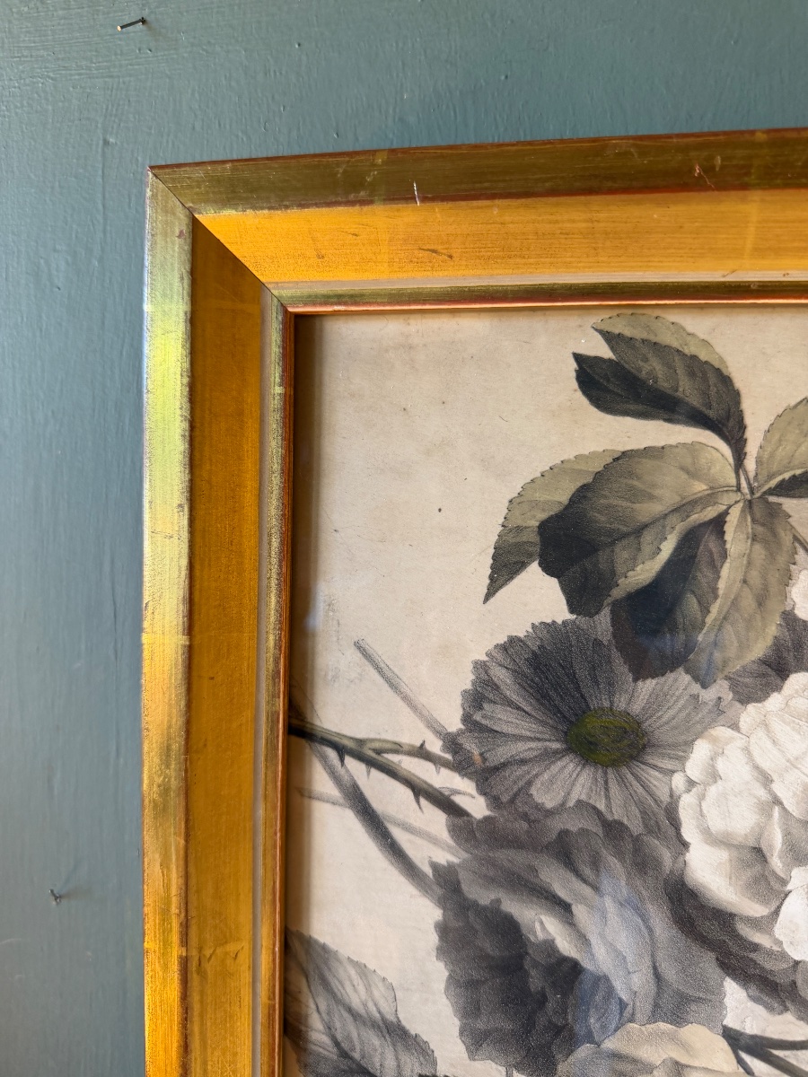 Botanical Flowers, Lithograph By Bernard-romain Julien-photo-4