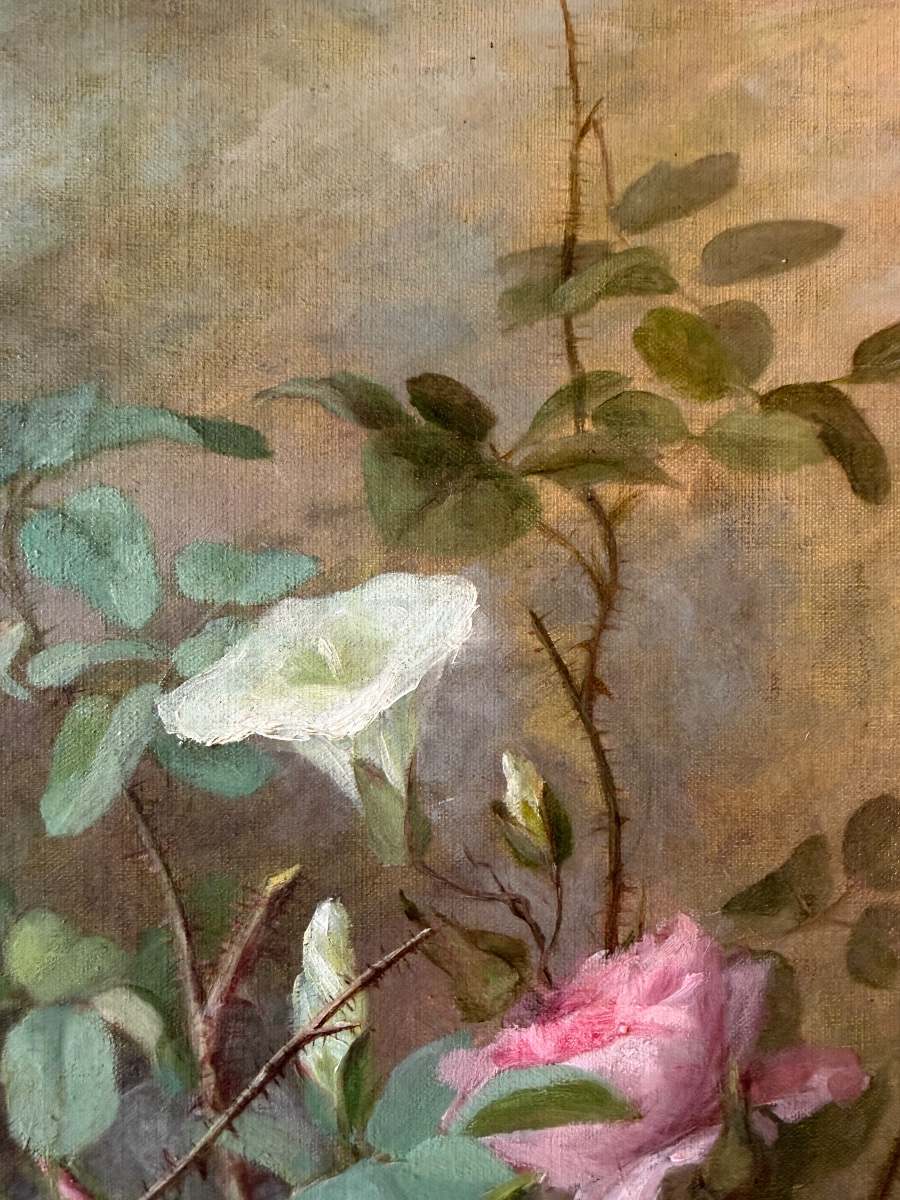 Roses anciennes et liserons en fleurs-photo-3