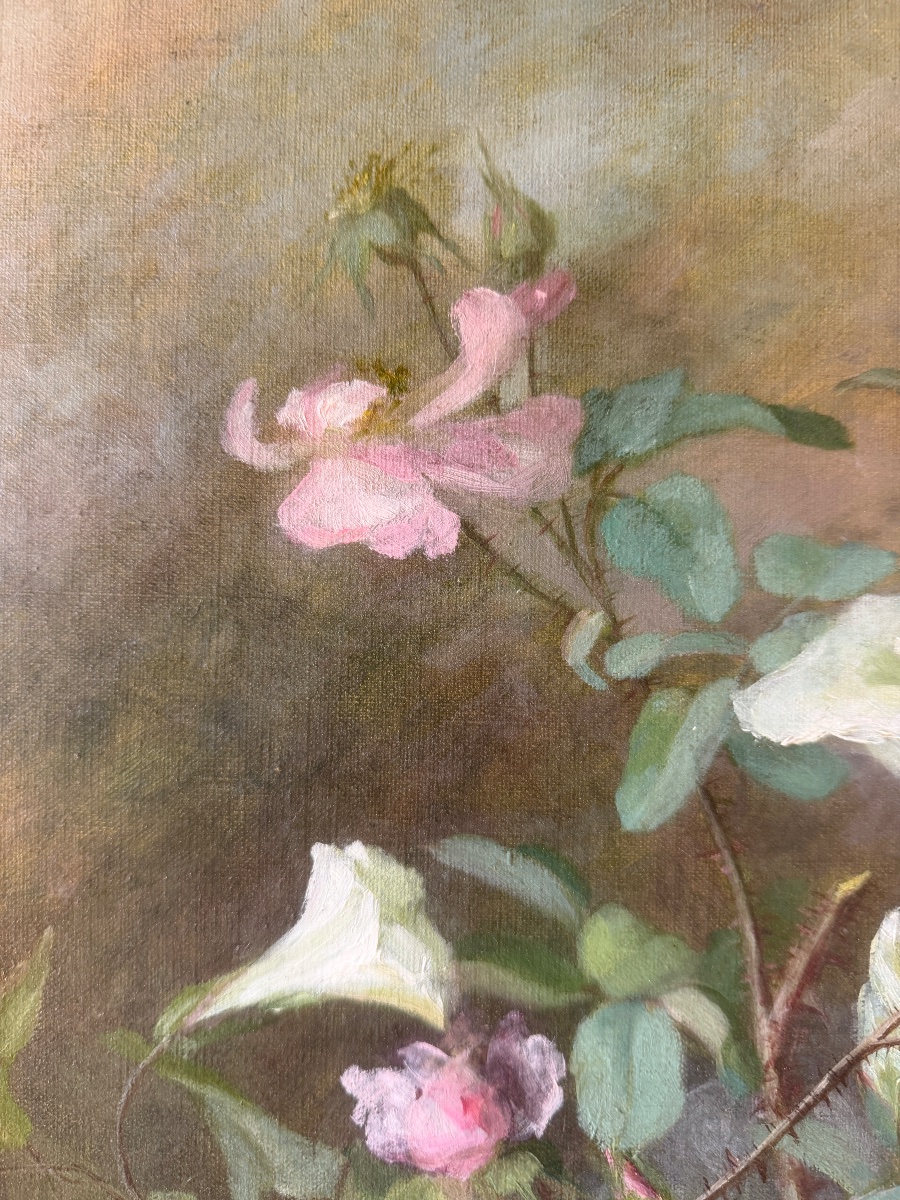 Roses anciennes et liserons en fleurs-photo-1