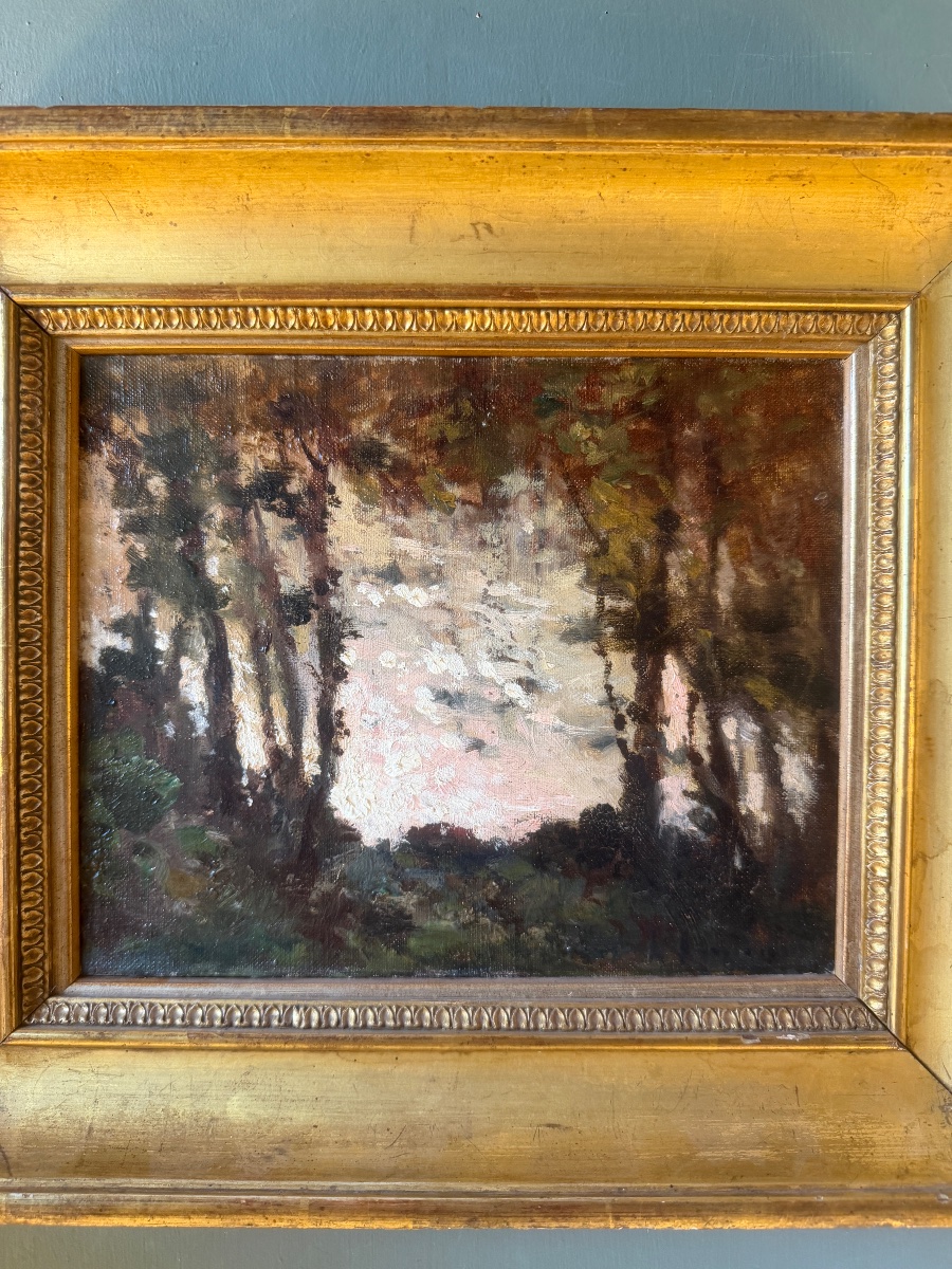 Petit paysage -photo-2