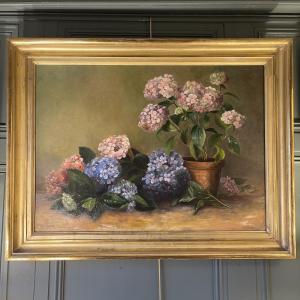 Hydrangeas In A Terracotta Pot, Large Oil On Canvas Dated 1912
