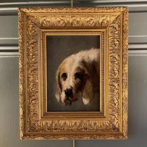 Portrait Of A Dog By Jules Chardigny, 19th Century