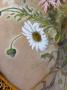1829731-6abbe914baf14.jpg