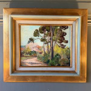 Landscape Of Provence